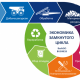 Closed-cycle garbage management system to be created in Dagestan