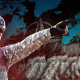 NATO’s Nuclear Bear Bait