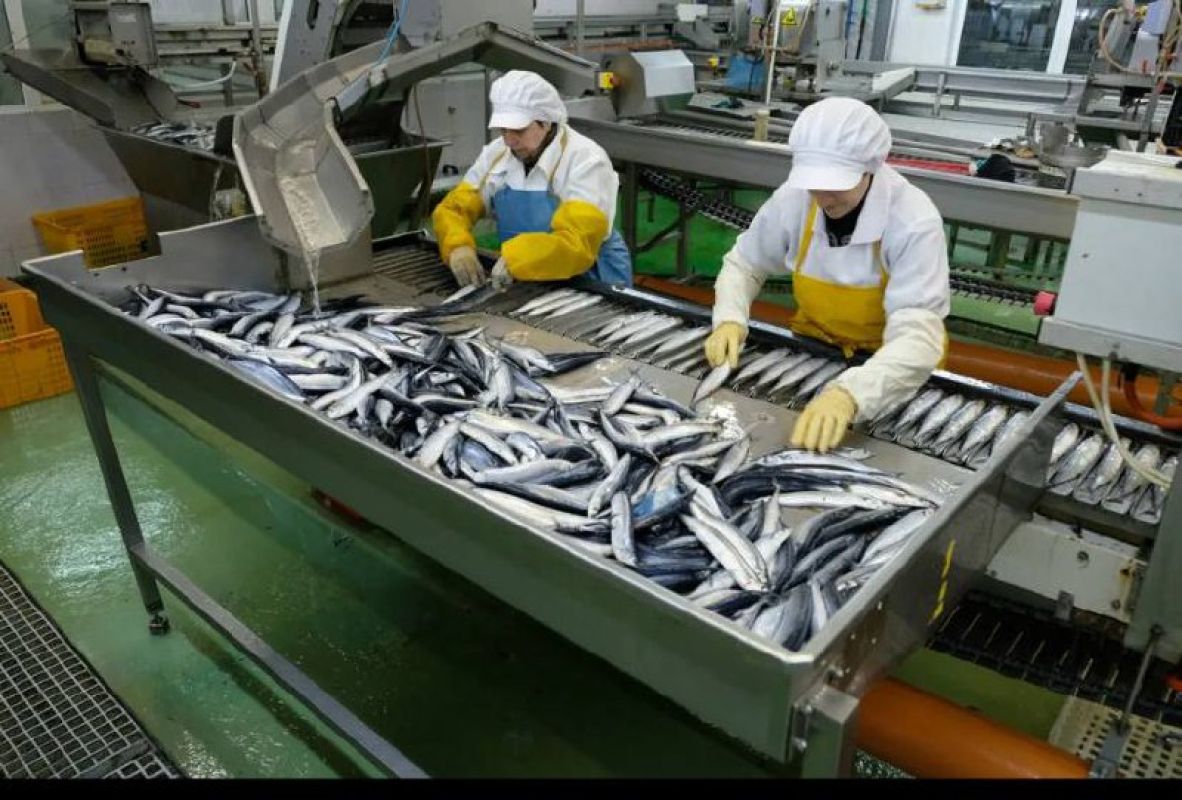 Dagestan sets fish production record