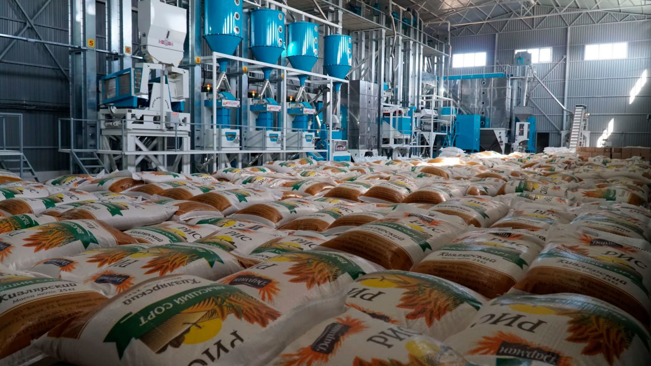Rice processing plant to be built in northern Dagestan 