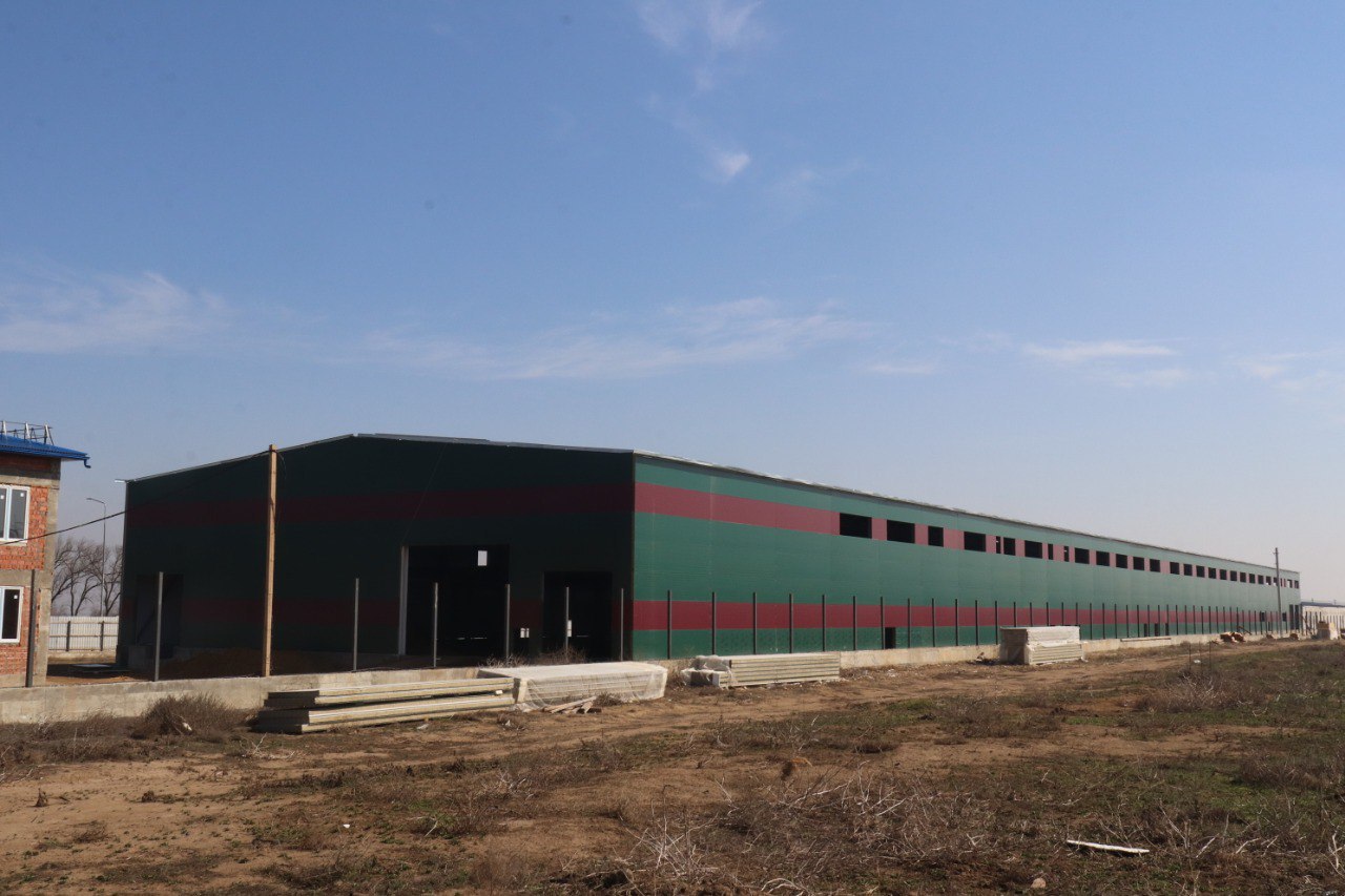 Dagestan's new meat processing plant to be connected to federal highway