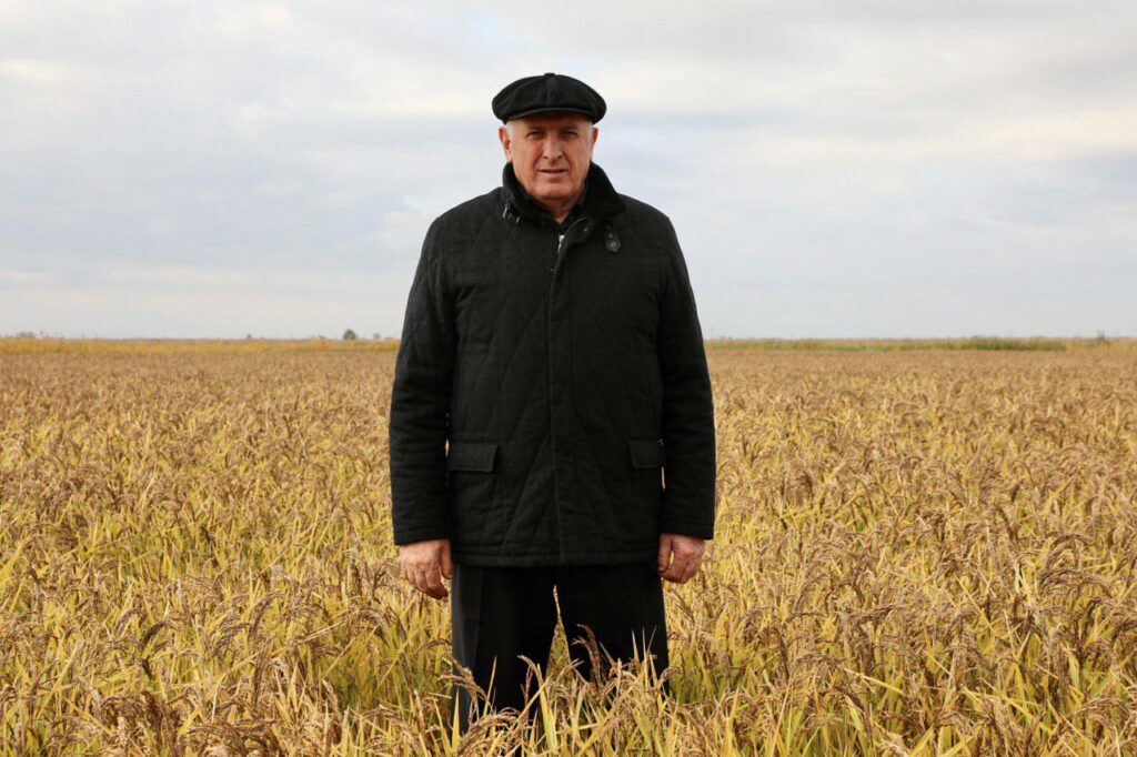 Dagestan sets record for grape harvest and enters top 10 agricultural regions of Russia - Abdulmuslimov
