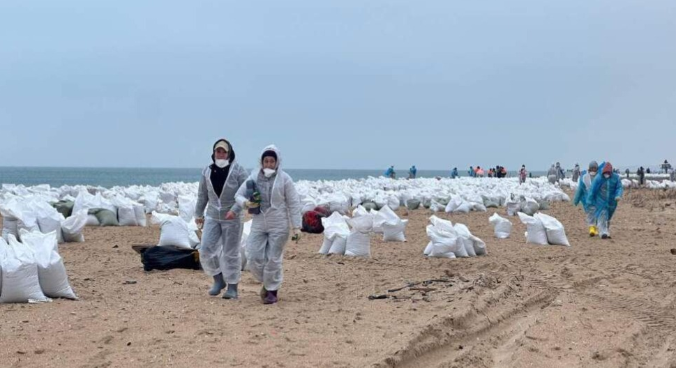 Volunteers from Dagestan take part in liquidation of ecological disaster in Anapa