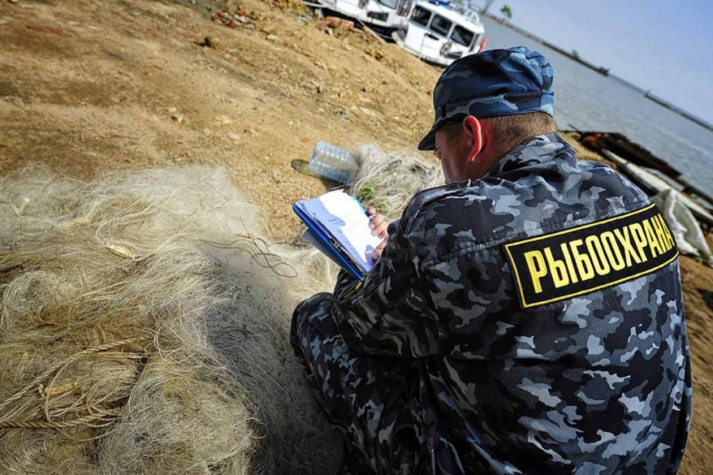 In Dagestan, poachers face criminal charges for using banned fishing gear