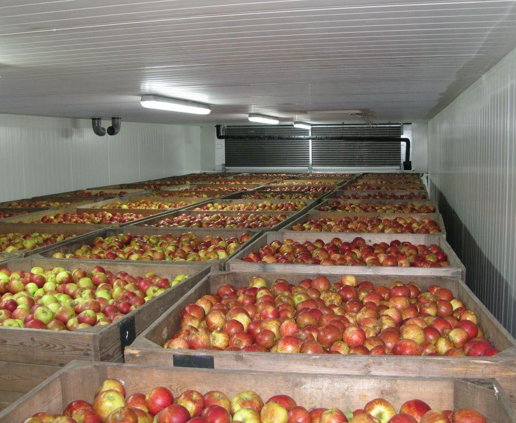Investor doubles capacity of fruit storage facility in Dagestan 