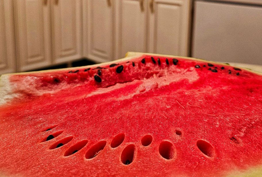 Dagestan delivers watermelons and melons to Moscow 