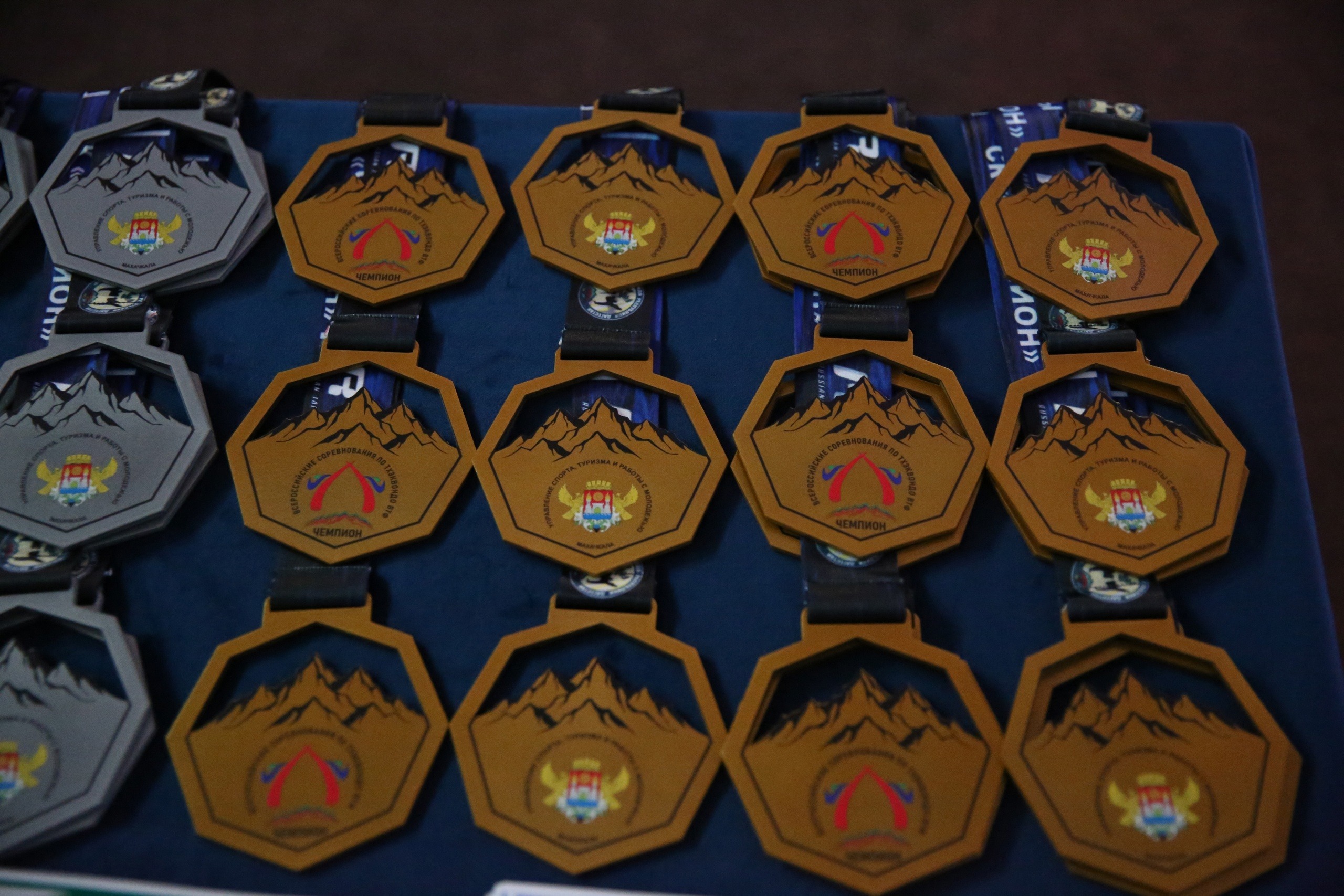 Dagestanis win more than 1.8 thousand medals in 2024