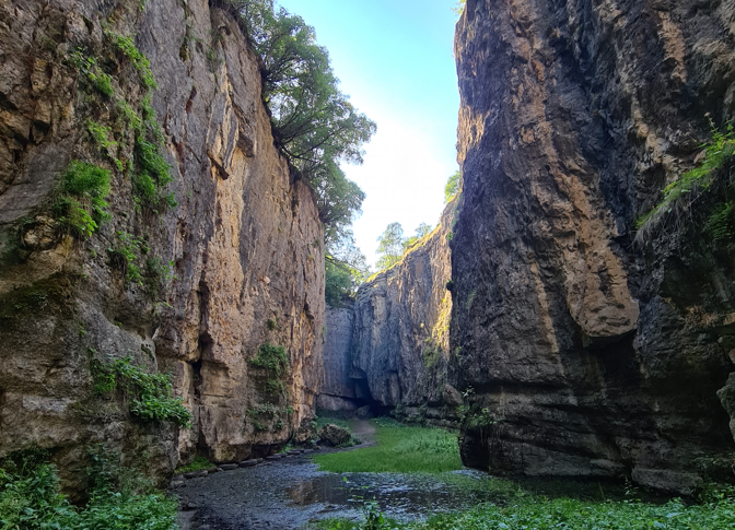 Dagestan implements large-scale educational tour project in 2024