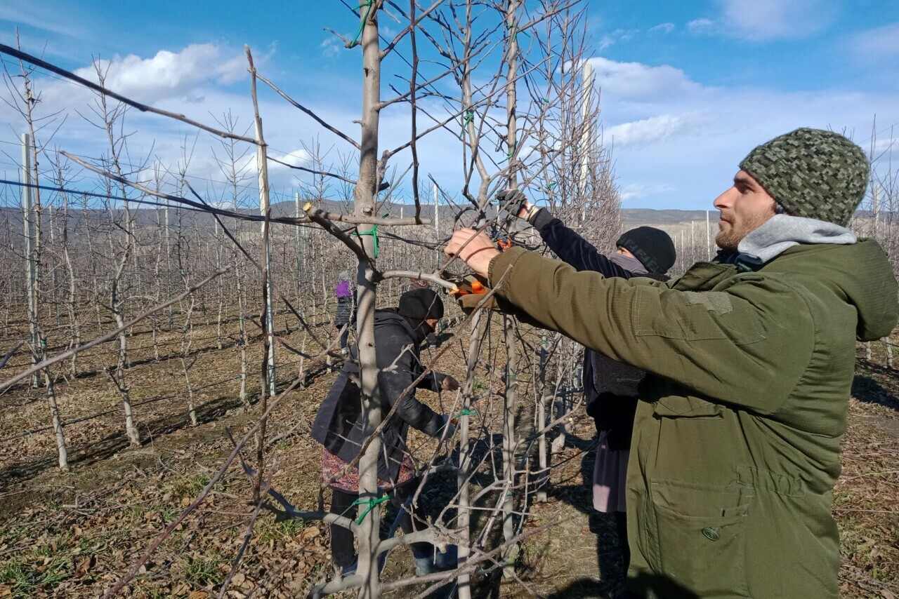 Gardeners of Dagestan take part in large-scale specialized forum