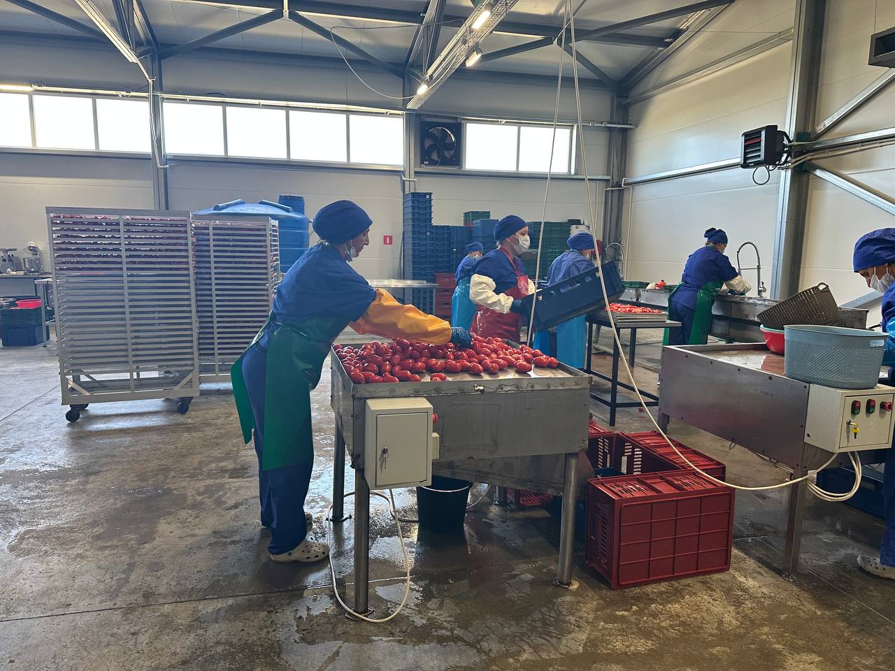 Plants and factories increase processing of fruit and vegetables by 30% in Dagestan