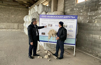 Dagestan authorities support two projects of wool processing enterprises