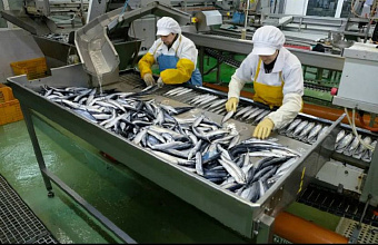 Dagestan sets fish production record