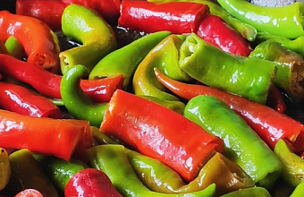 Vegetables grown all year round in Dagestan