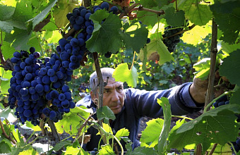 “Dagvino 2024” exclusive magazine publishes in Dagestan