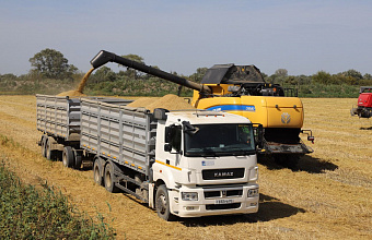 Dagestani farmers prepare to sow rice on 32 thousand hectares