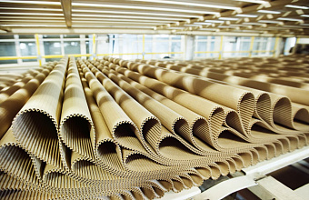 RUB 100 million cardboard factory built in Dagestan's industrial park 
