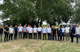 Uzbekistan shows interest in vine seedlings from Dagestan