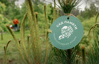 Dagestan enters top 10 most active regions in "Garden of Memory" campaign