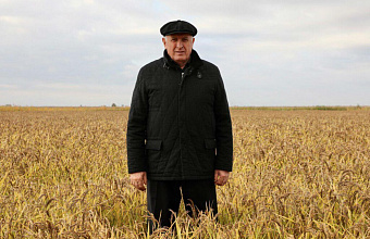 Dagestan sets record for grape harvest and enters top 10 agricultural regions of Russia - Abdulmuslimov