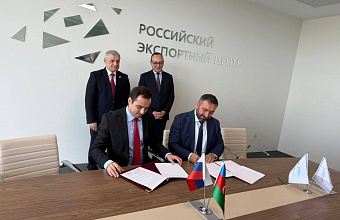 Azerbaijani company to plant olive orchard spanning 100 hectares in Dagestan