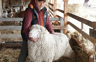 Dagestan to present unique livestock breeds at large-scale agricultural exhibition