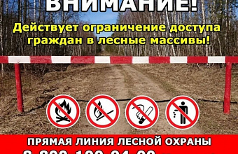 Dagestan authorities impose restrictions on visiting forests due to fire danger