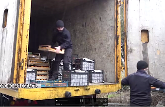 Delegation from Dagestan delivers humanitarian aid and New Year gifts to Zaporizhia regionDelegation