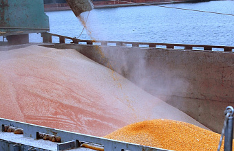 Approx. 1 million tons of grain shipped to Iran via Makhachkala Sea Port terminal