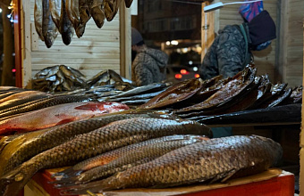 Makhachkala to Host Fishery and Agricultural Fair on December 25 - 30