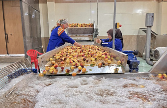 Kikuninsky Cannery launches two new production lines