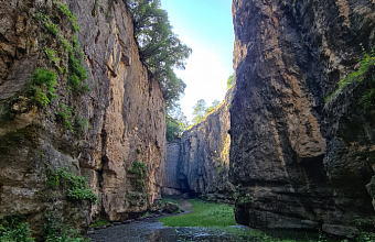 Dagestan implements large-scale educational tour project in 2024
