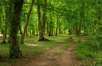 Samur National Park opens to tourists