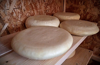 Dagestani farm launches production sheep's cheese with unique flavour