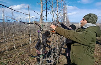 Gardeners of Dagestan take part in large-scale specialized forum