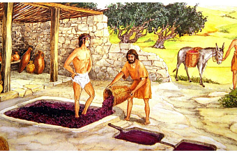 Country’s first vineyards traced back in history were in Dagestan