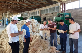 Eight enterprises joined wool cluster increase volume of production by 5 times