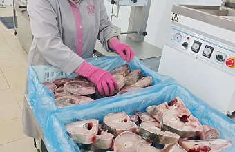 Dagestan's largest fish complex plans to launch canning line